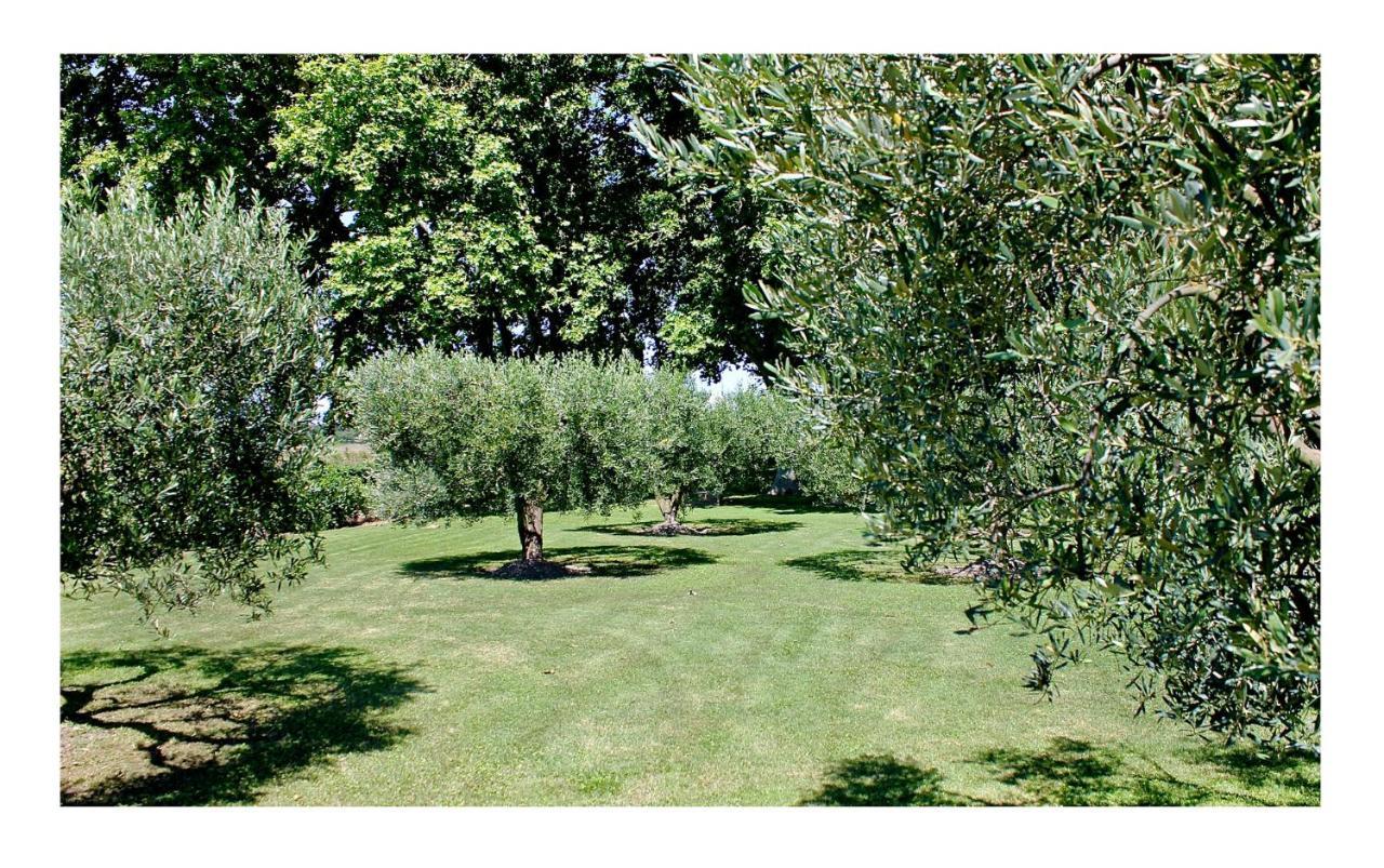 Le Domaine De Laforest Fontvieille Eksteriør bilde