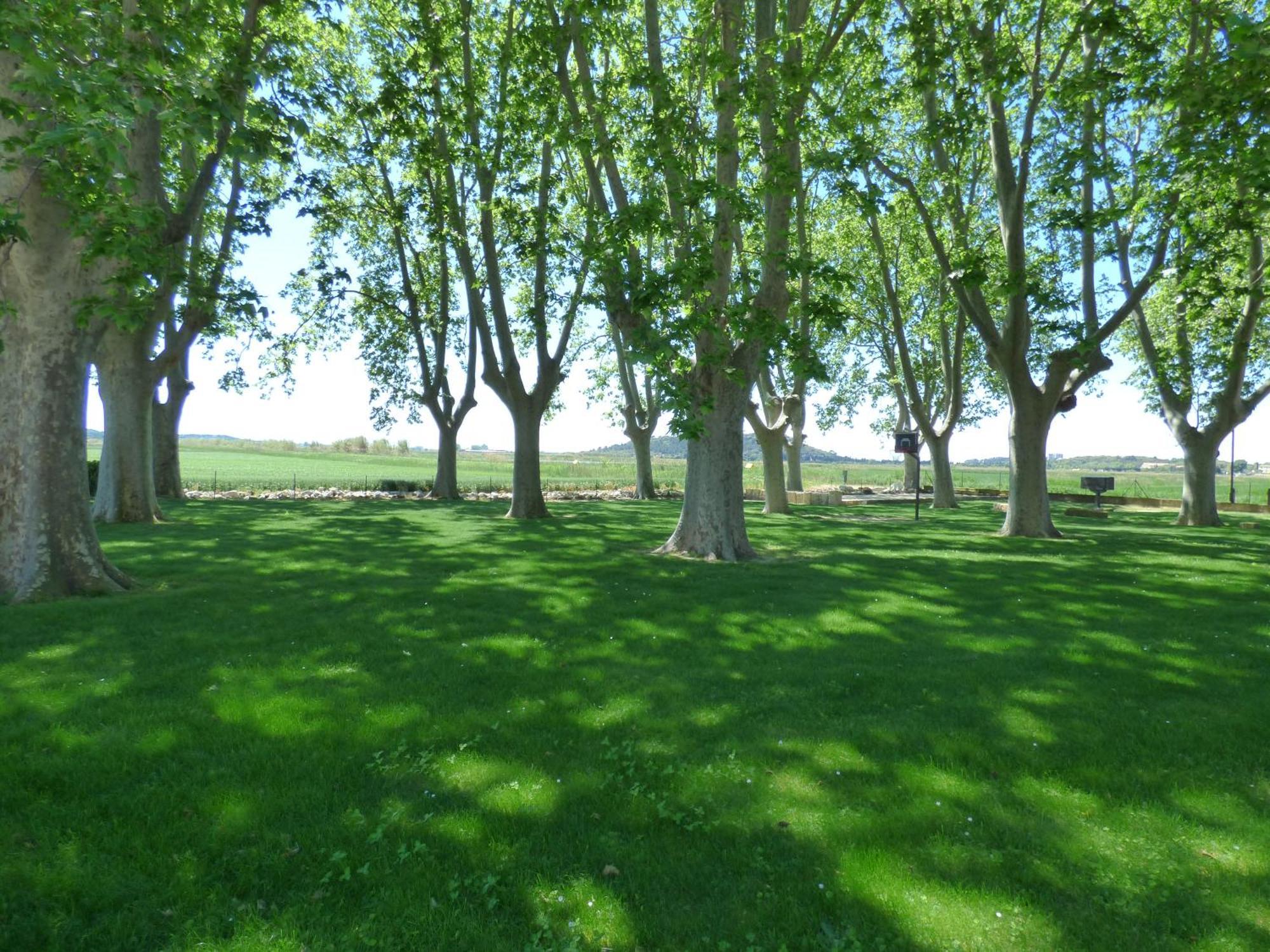 Le Domaine De Laforest Fontvieille Eksteriør bilde