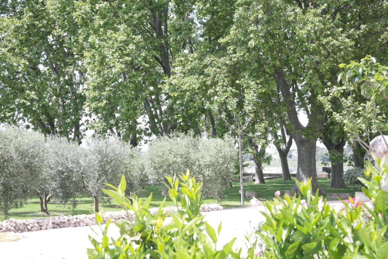 Le Domaine De Laforest Fontvieille Eksteriør bilde