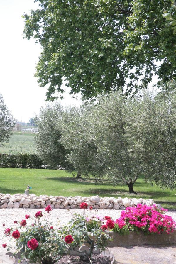Le Domaine De Laforest Fontvieille Eksteriør bilde